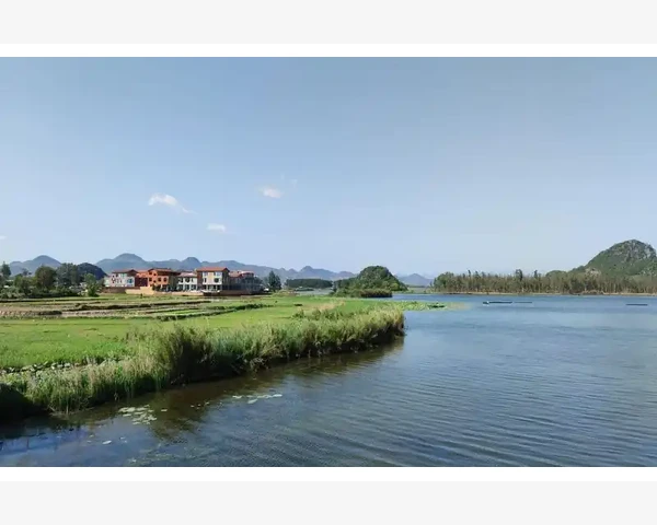 健脾胃、助眠的花茶：中医科普